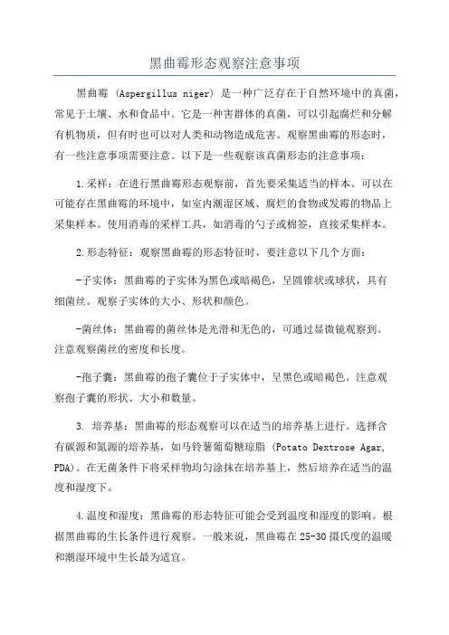 黑曲霉形态观察注意事项