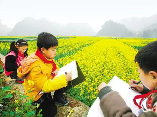 六年级科学下册课件-6呼吸与交换4-冀人版  19张