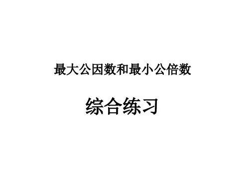 最大公因数和最小公倍数的综合练习