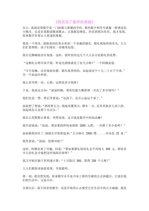 《我发现了数学的奥秘》