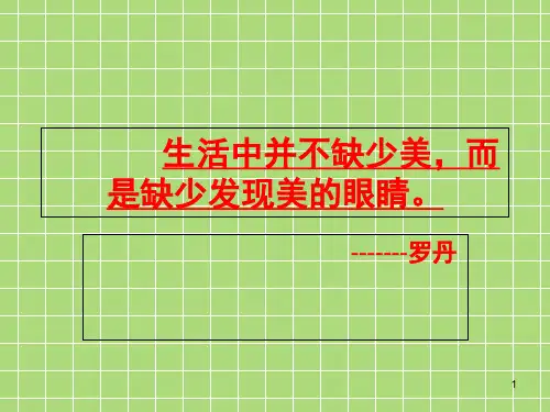 搭石生字课文(课堂PPT)
