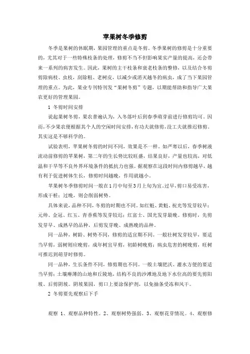 苹果树冬季修剪