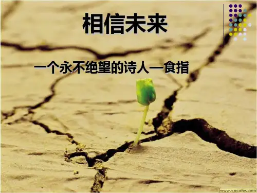 相信未来 食指