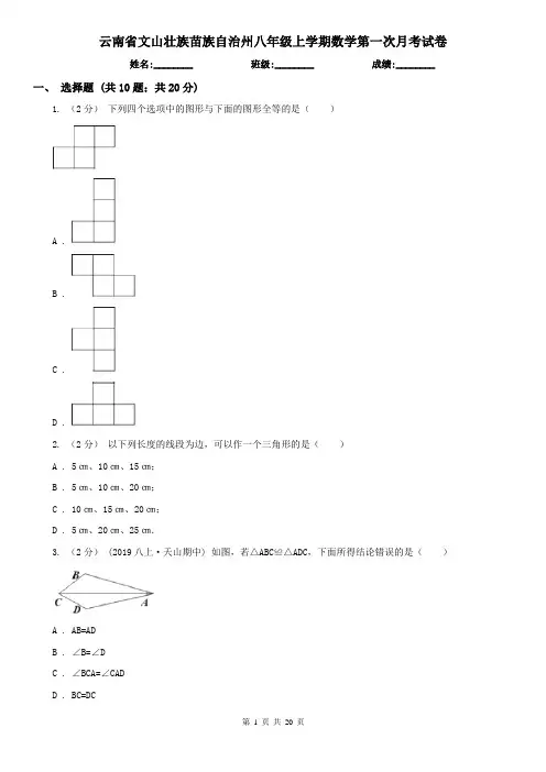 云南省文山壮族苗族自治州八年级上学期数学第一次月考试卷
