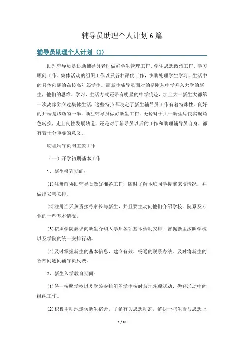 辅导员助理个人计划6篇