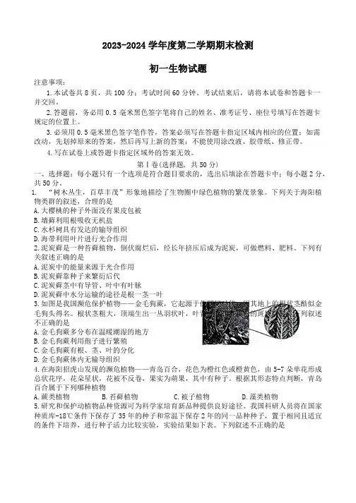 山东省烟台市海阳市2023-2024学年六年级下学期7月期末生物试题(含答案)