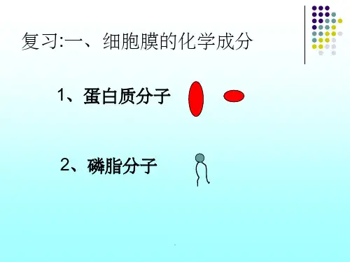 物质跨膜运输的方式公开课完整ppt课件