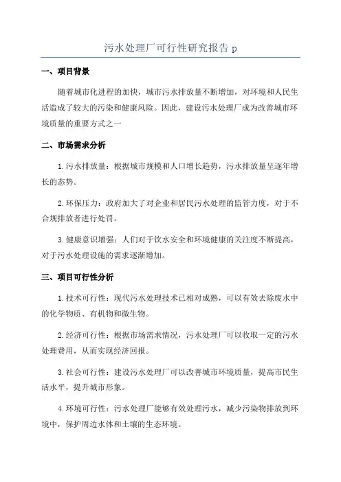 污水处理厂可行性研究报告p