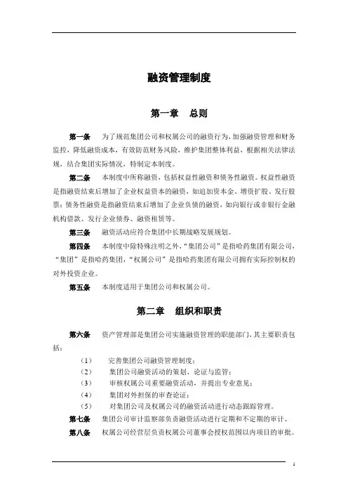 集团有限公司融资管理制度