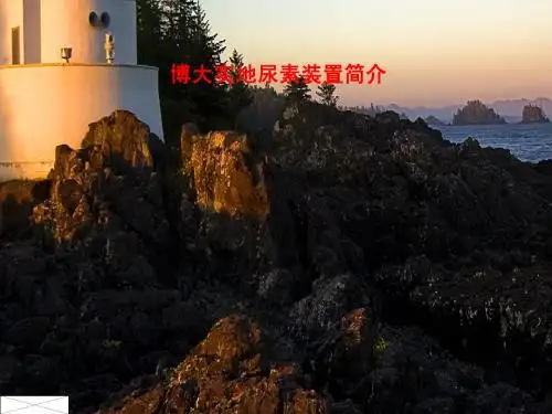 尿素知识讲座