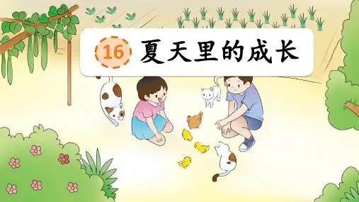 部编版语文六年级上册第16课《夏天里的成长》公开课PPT课件