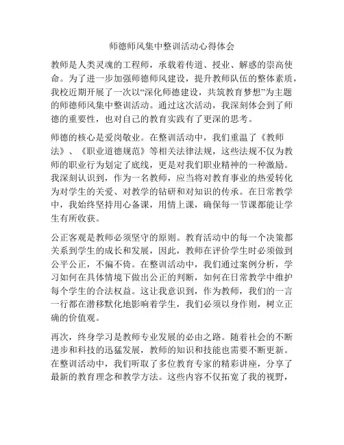 师德师风集中整训活动心得体会