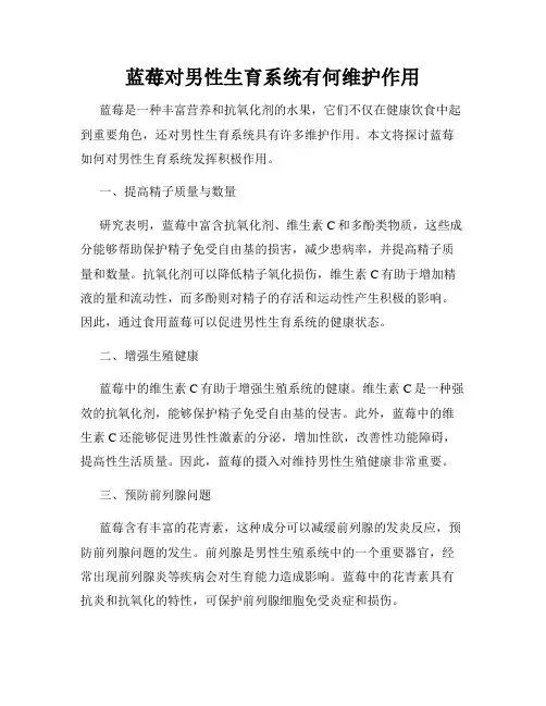 蓝莓对男性生育系统有何维护作用