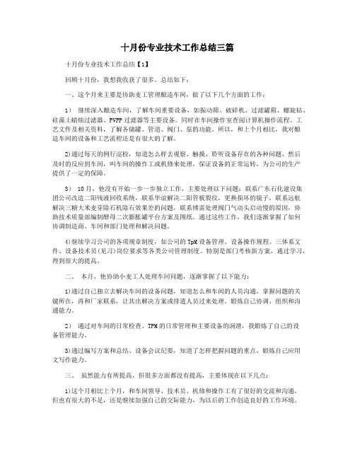 十月份专业技术工作总结三篇