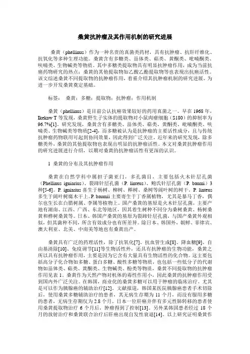 桑黄抗肿瘤及其作用机制的研究进展