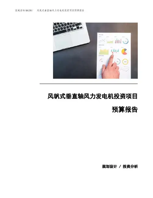 风帆式垂直轴风力发电机投资项目预算报告