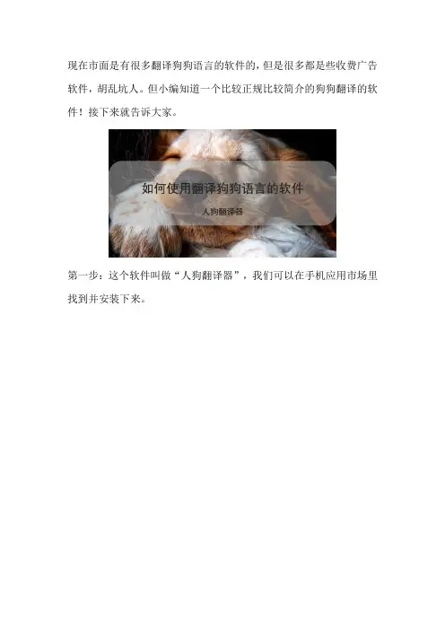 如何使用翻译狗狗语音的软件
