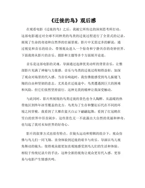 《迁徙的鸟》观后感