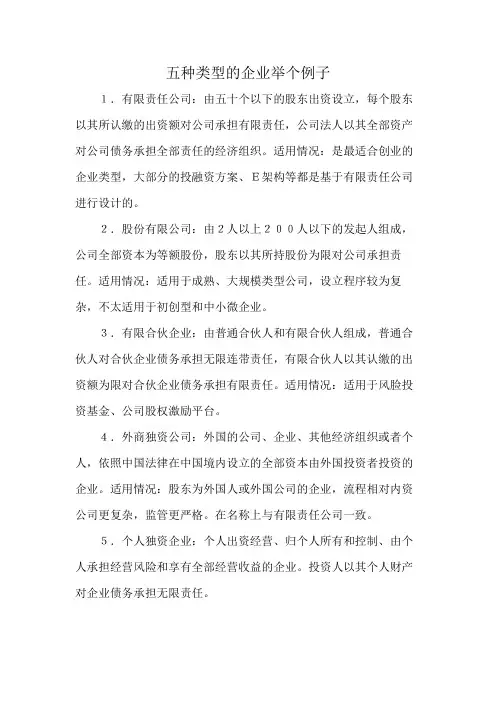 五种类型的企业举个例子