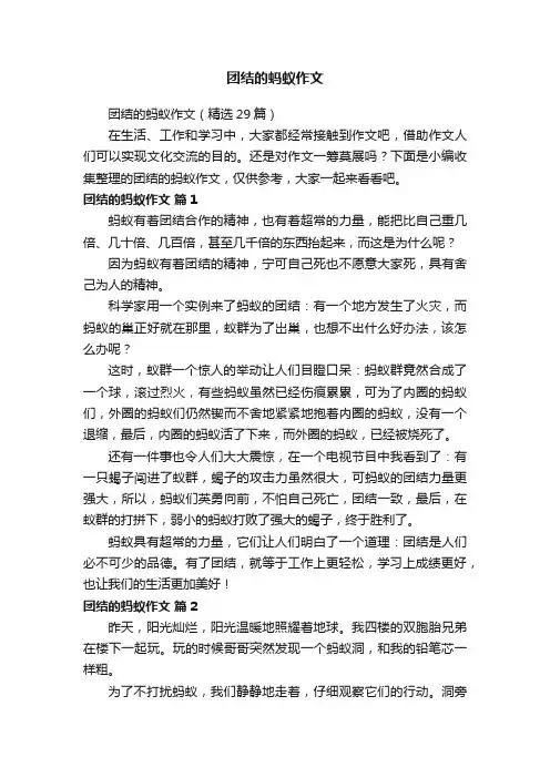 团结的蚂蚁作文（精选29篇）