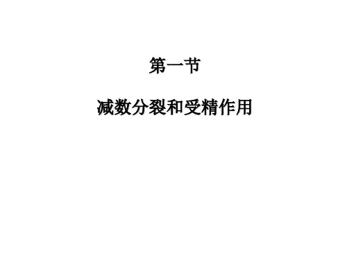 第一节 减数分裂与受精作用(非常好)PPT课件