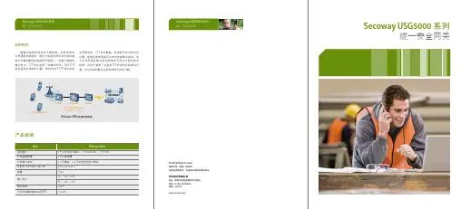 华为赛门铁克Secoway+USG5000+系列统一安全网关