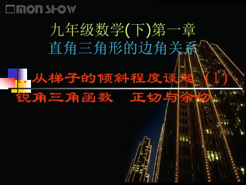 正切与余切 PPT