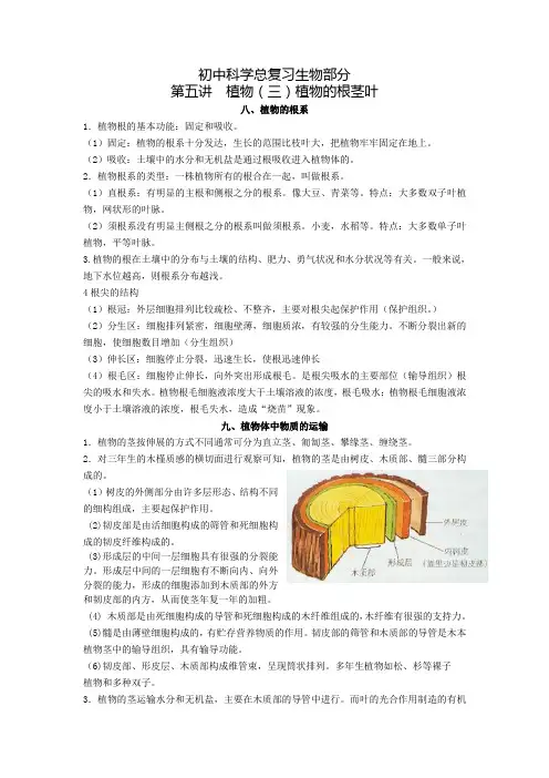 初中科学复习生物部分第五讲 植物的根茎叶