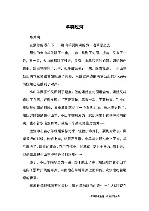 羊群过河_优秀作文