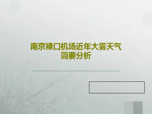 南京禄口机场近年大雾天气简要分析共19页文档