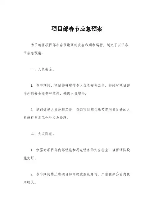 项目部春节应急预案