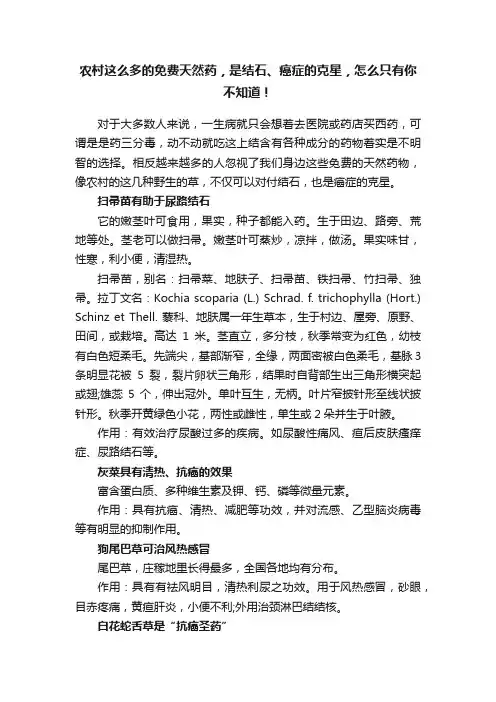 农村这么多的免费天然药，是结石、癌症的克星，怎么只有你不知道！