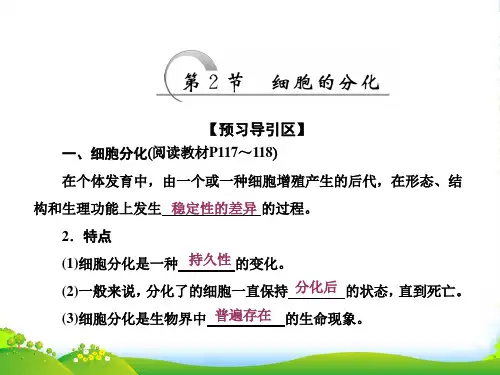 人教版生物必修1课件：第6章 第2节 细胞的分化