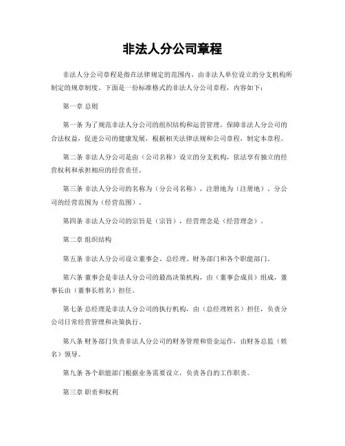 非法人分公司章程