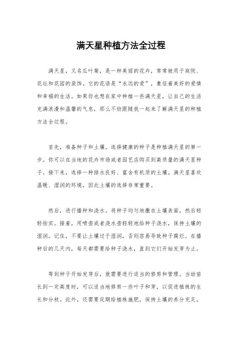 满天星种植方法全过程