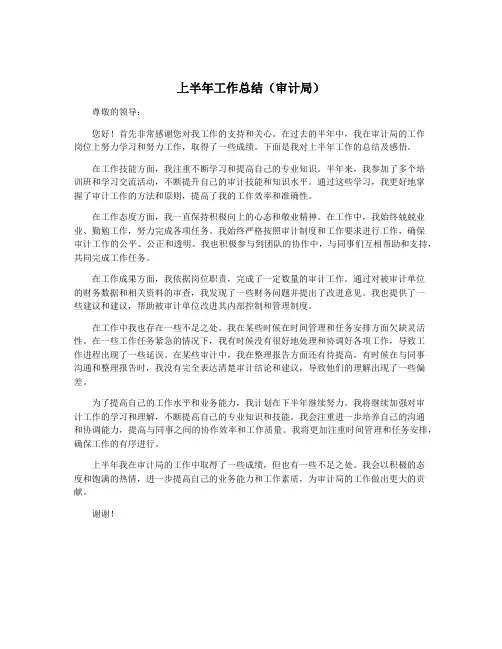 上半年工作总结(审计局)