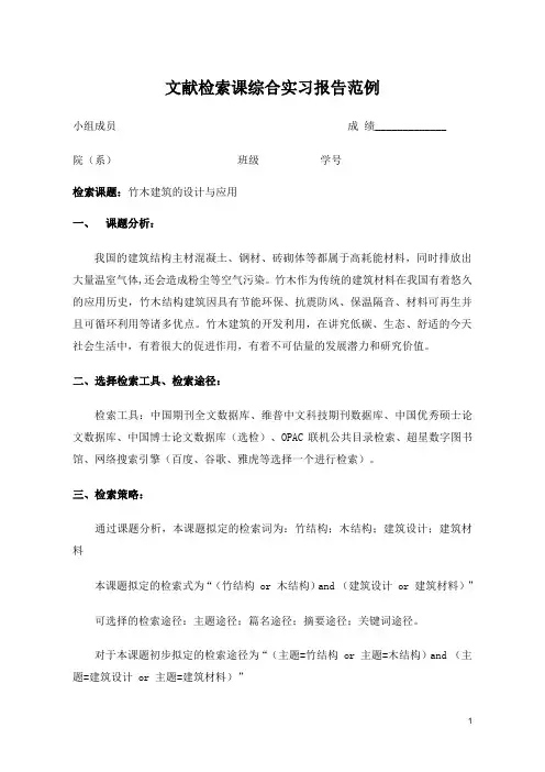 文献检索大作业格式