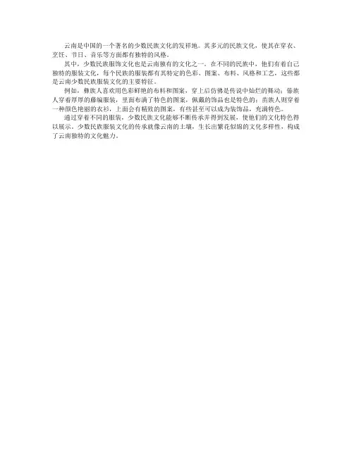 云南的少数民族服饰文化
