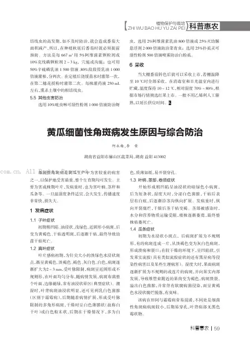 黄瓜细菌性角斑病发生原因与综合防治