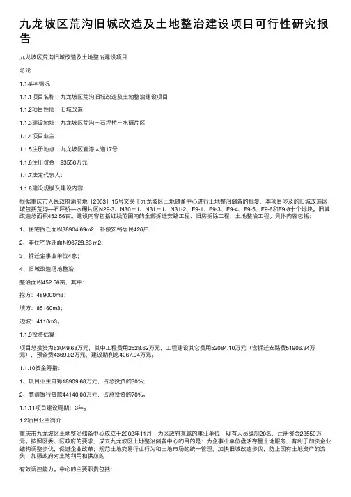 九龙坡区荒沟旧城改造及土地整治建设项目可行性研究报告