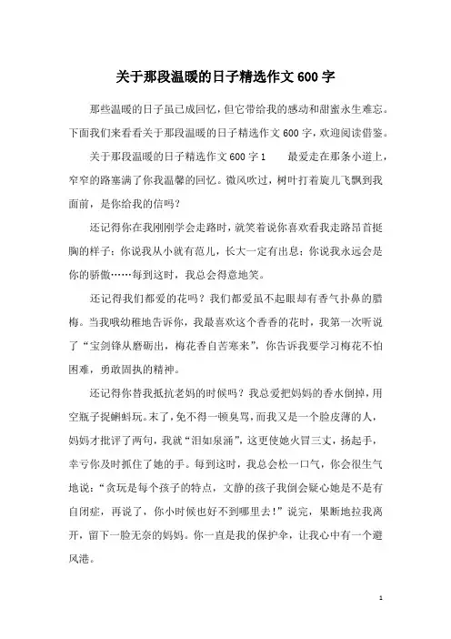 关于那段温暖的日子精选作文600字