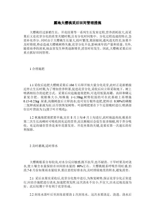 露地大樱桃采后田间管理措施