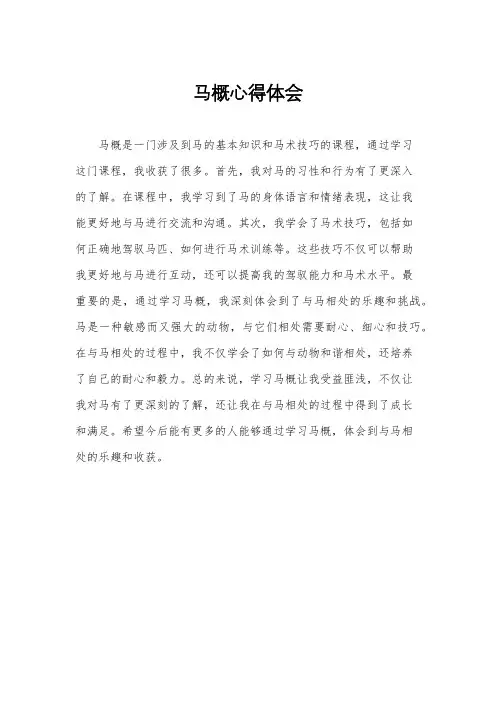 马概心得体会