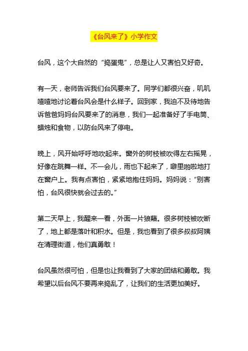 《台风来了》小学作文