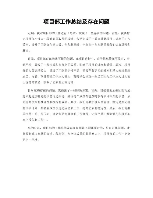 项目部工作总结及存在问题