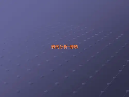 超声病例分析-膀胱ppt课件