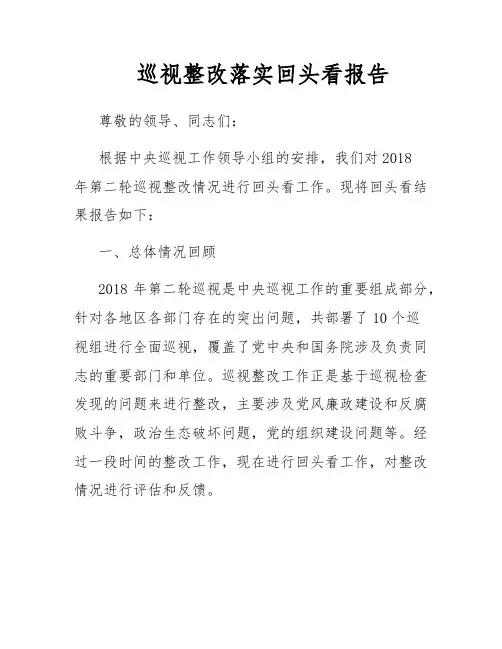 巡视整改落实回头看报告