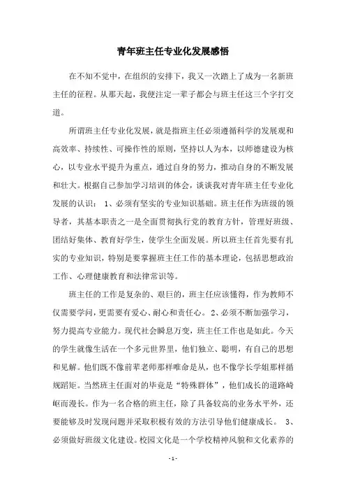 青年班主任专业化发展感悟