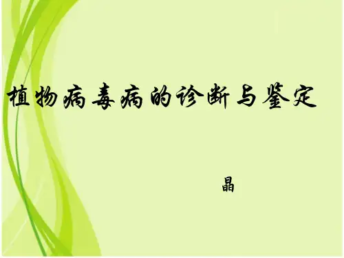 植物病毒病的检验与鉴定