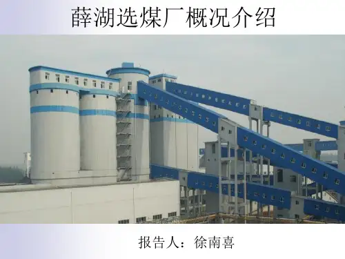 薛湖简介